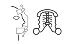Ícone da especialidade Ortopedia Facial / Ortodontia Infantil