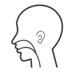 Ícone da especialidade Otorrinolaringologia